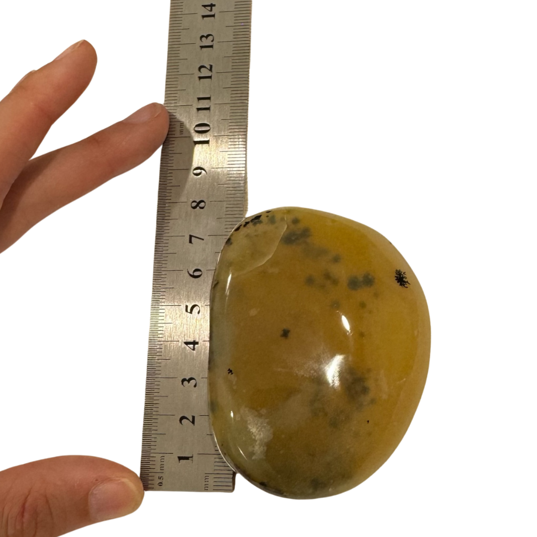 Dendritic Agate From Brazil