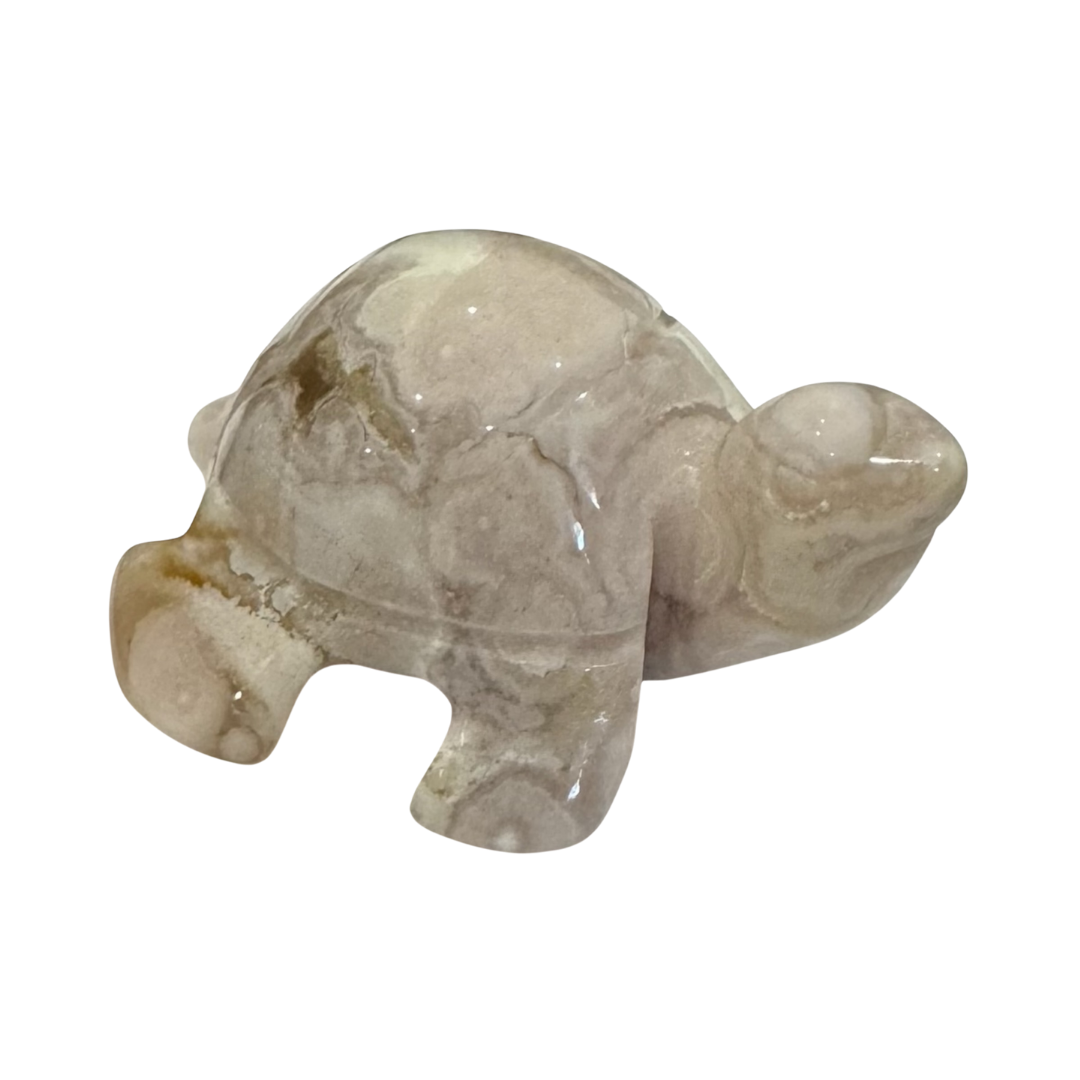 Flower Agate Mini Turtle Crystal